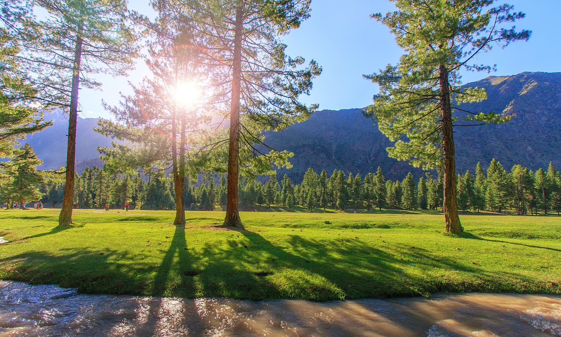 Rama Meadows in Gilgit